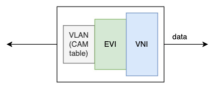 evpn_constructs